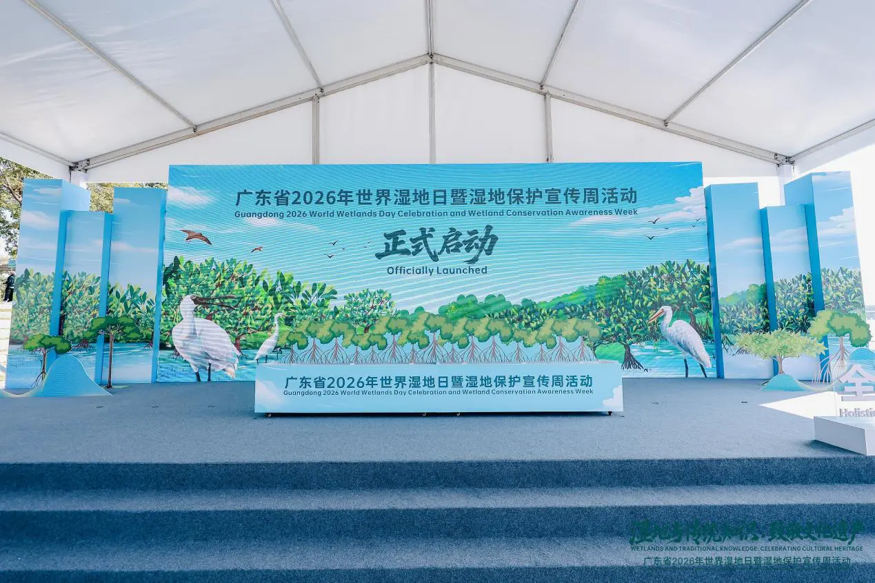 廣東2026世界濕地日活動在深啟幕 多項紅樹林保護修復典型案例發布