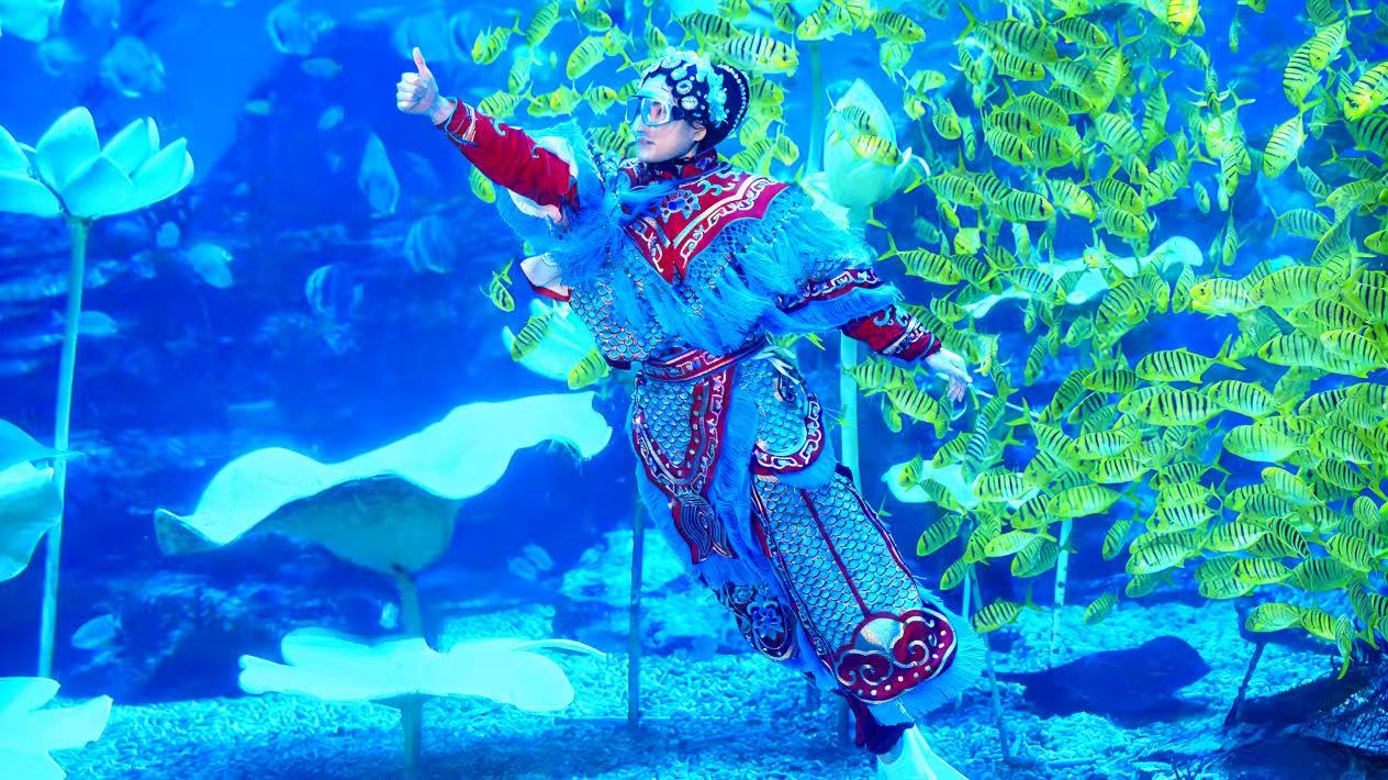 鄭州海昌海洋公園以「海洋+」續寫水下國潮傳奇