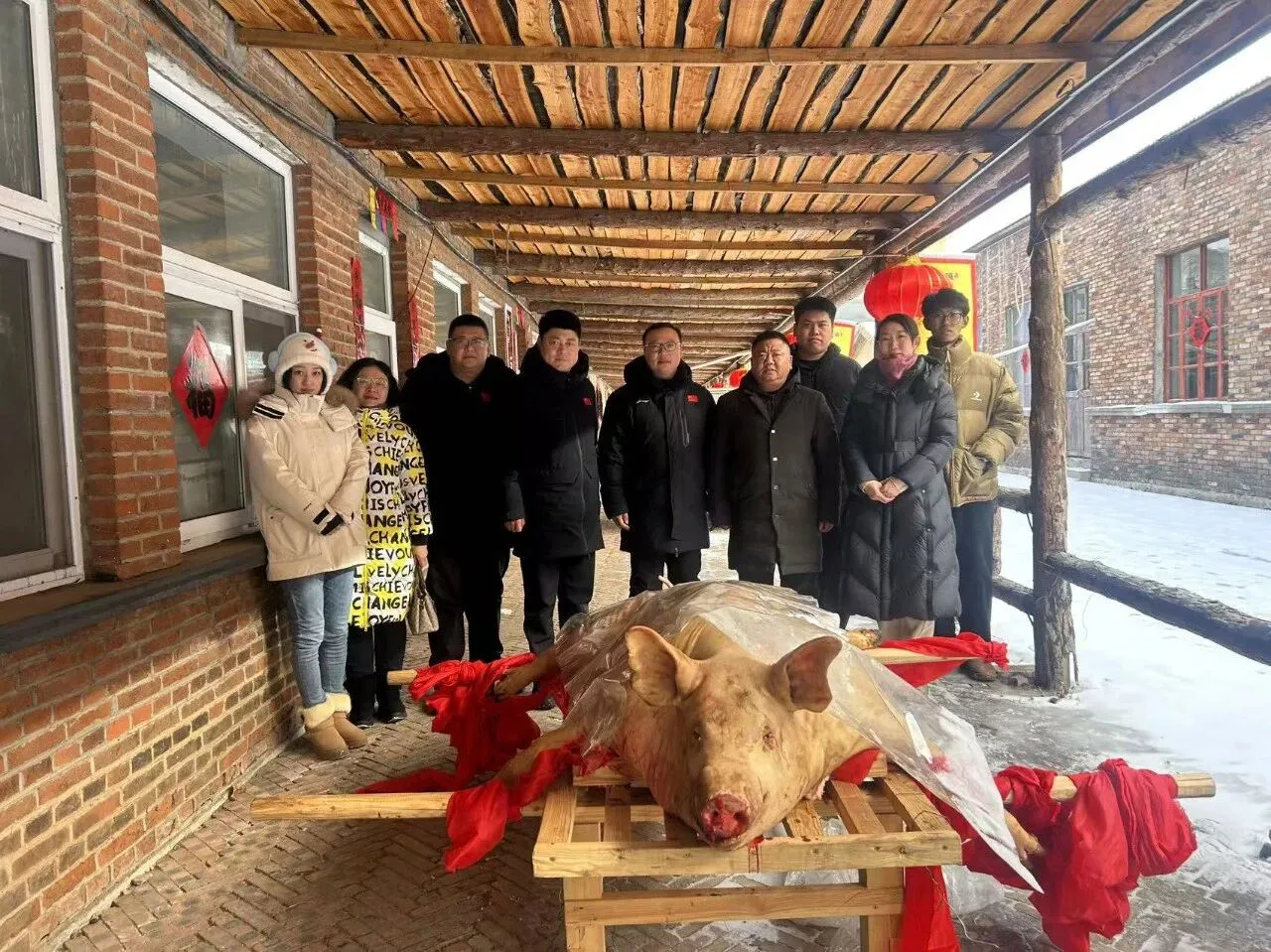 黑龍江寶清：脫貧戶生豬搭上「文旅快車」