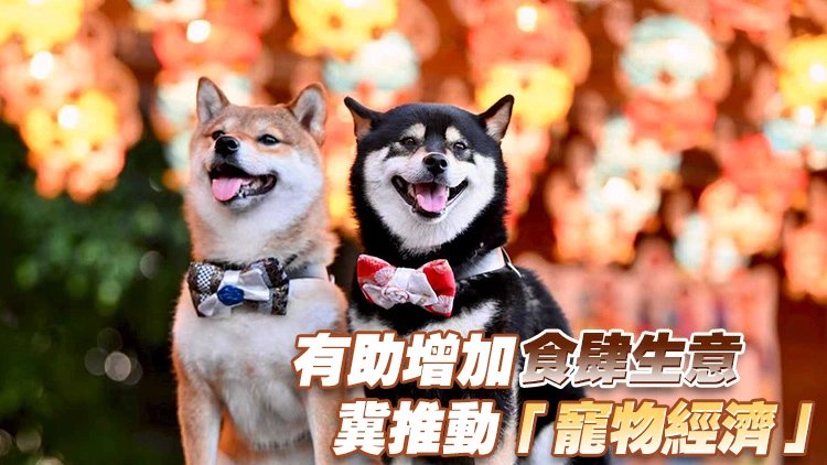 狗隻進入食肆牌照 餐飲業：1000個名額未必足夠