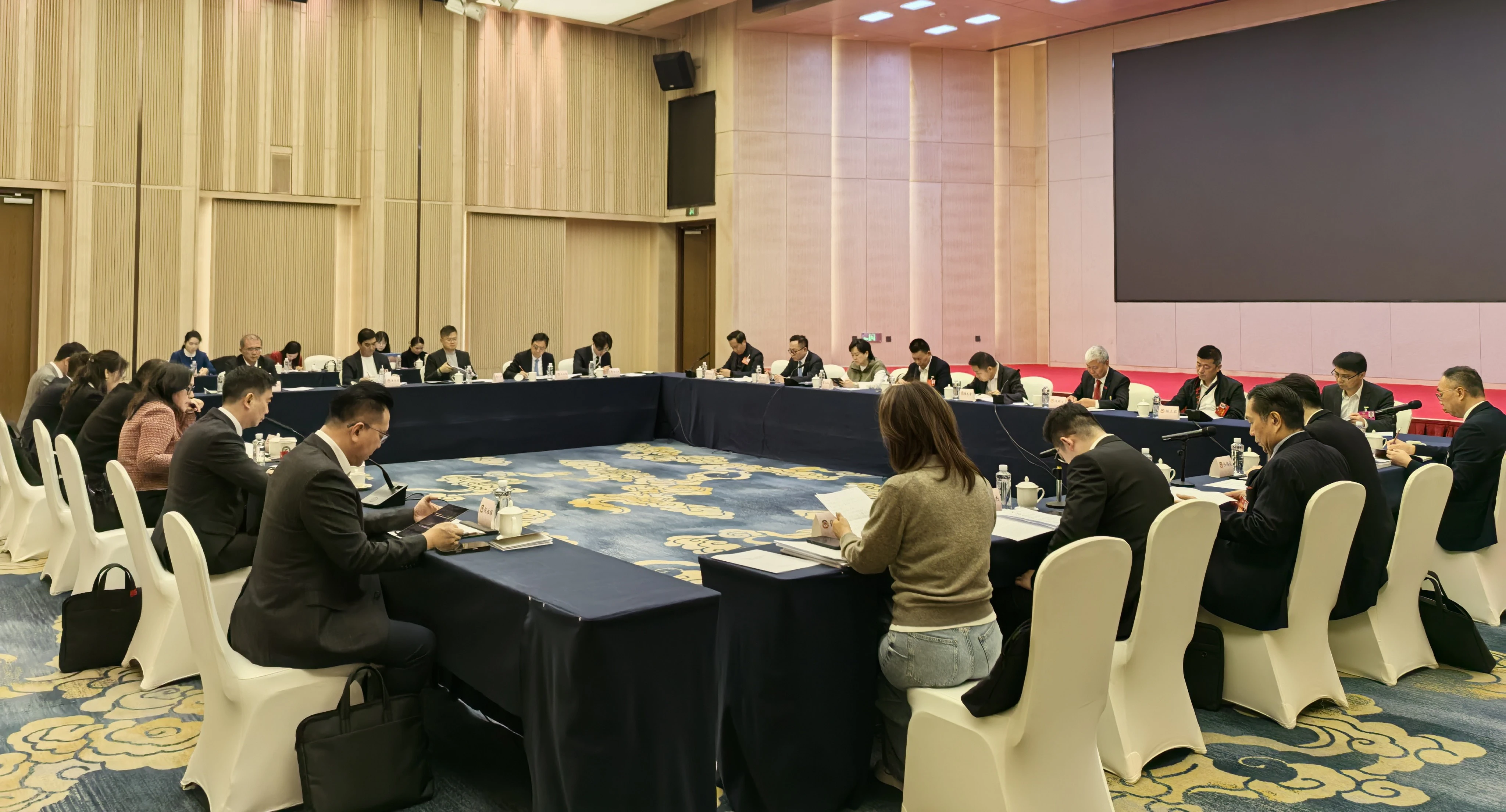 【港澳委員建言廣西發展】優化涉外接待能力 港籍委員提案促旅遊消費增量