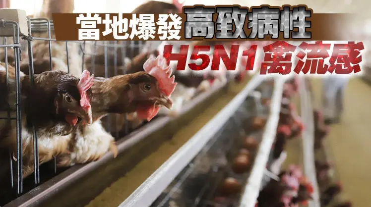 本港暫停進口波蘭大波蘭省Śrem區禽肉及禽類產品