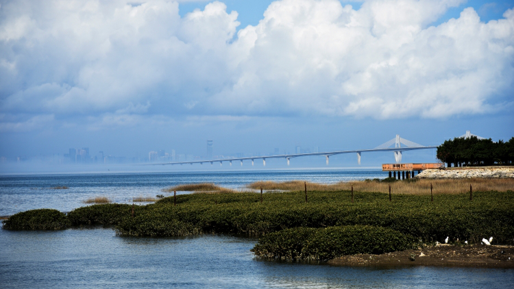 大陸將於近期恢復上海居民赴金門、馬祖旅遊