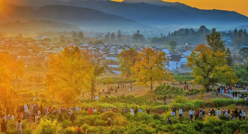 【港商觀察】畫裡鄉村時光漫漶：傳統村落「活態繁榮」的黟縣樣本