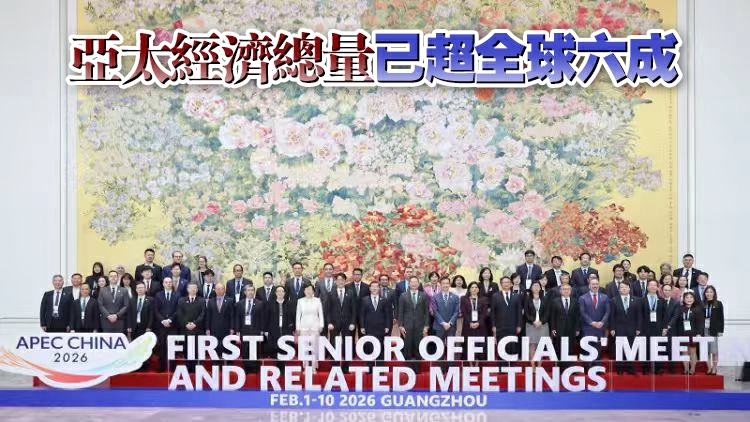 APEC海關手續分委會2026年第一次全體會議舉行