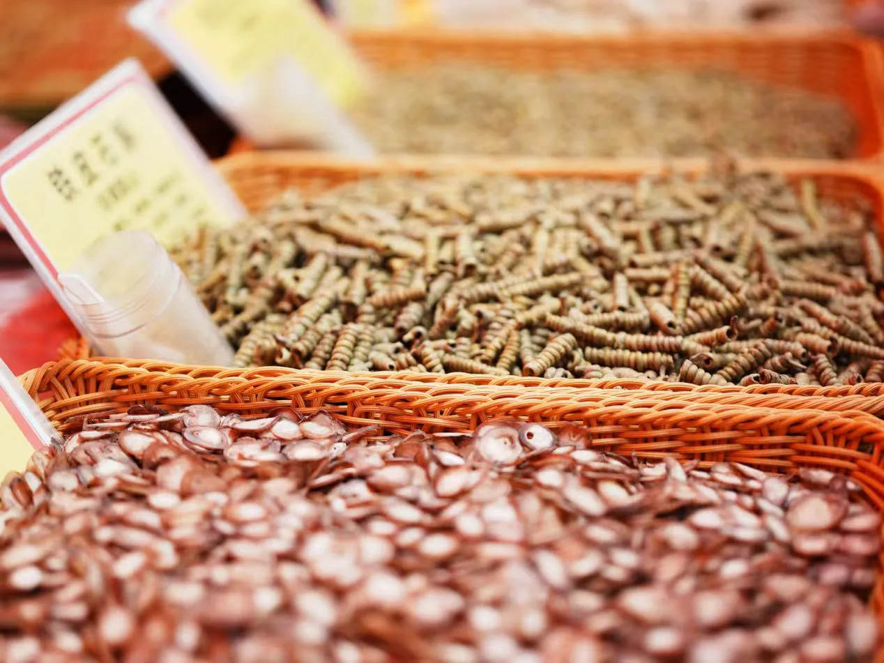 合肥瑤海年貨節：消費賦能 傳承煥新