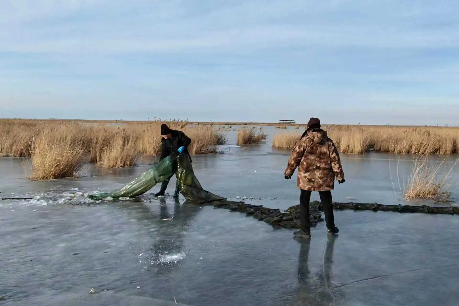 黑龍江寶清：亮劍濕地保護 夯實生態根基