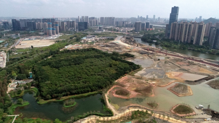 廣東設立省級政府投資生態基金 首期規模超20億元