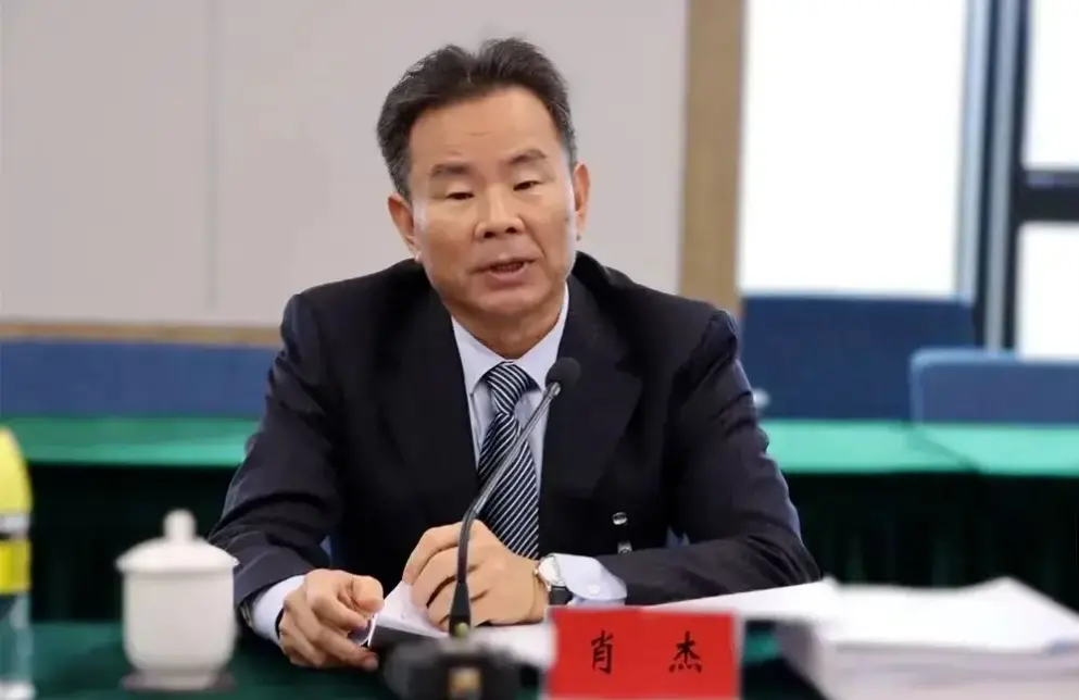 海南省人大常委會原副主任肖傑接受審查調查