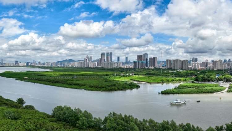 深圳上市公司達600家