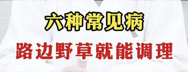 有片｜六種常見病，路邊野草就能調理