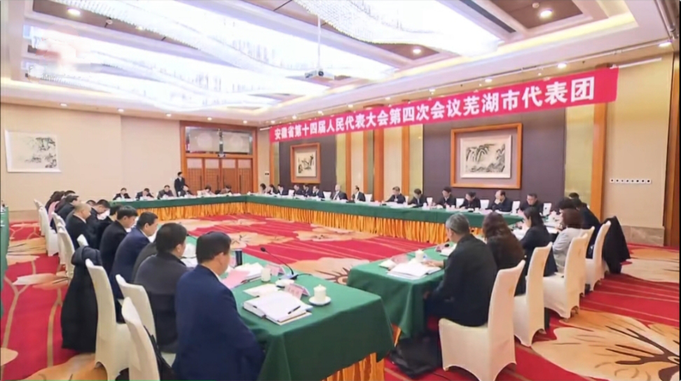 【安徽兩會】唐良智參加蕪湖市代表團審議：打造安徽乃至長三角經濟增長極