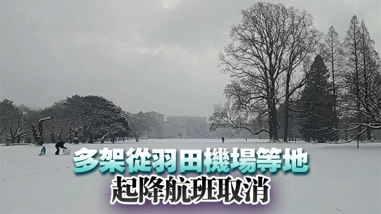 日本強降雪已致46人死500多人傷