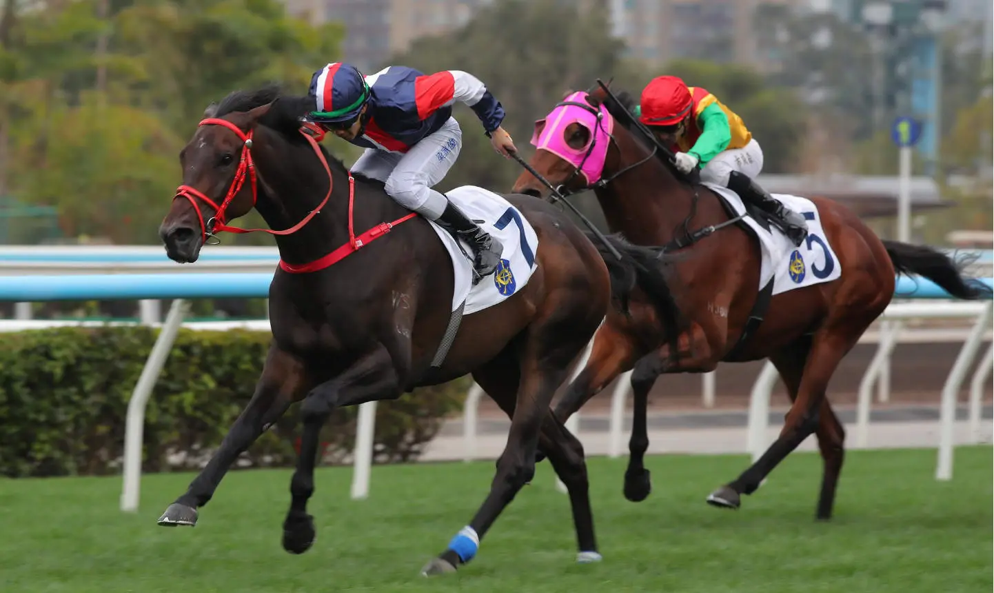 有片 | 輕勝百周年紀念銀瓶 數字天文進軍香港經典盃