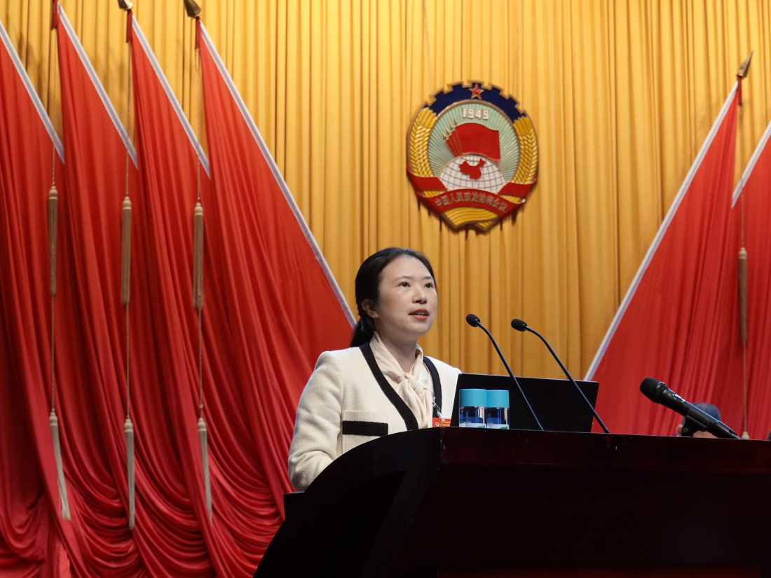 【廣東兩會】惠陽政協委員王琳：激活惠港紅色資源打造灣區文旅廊道