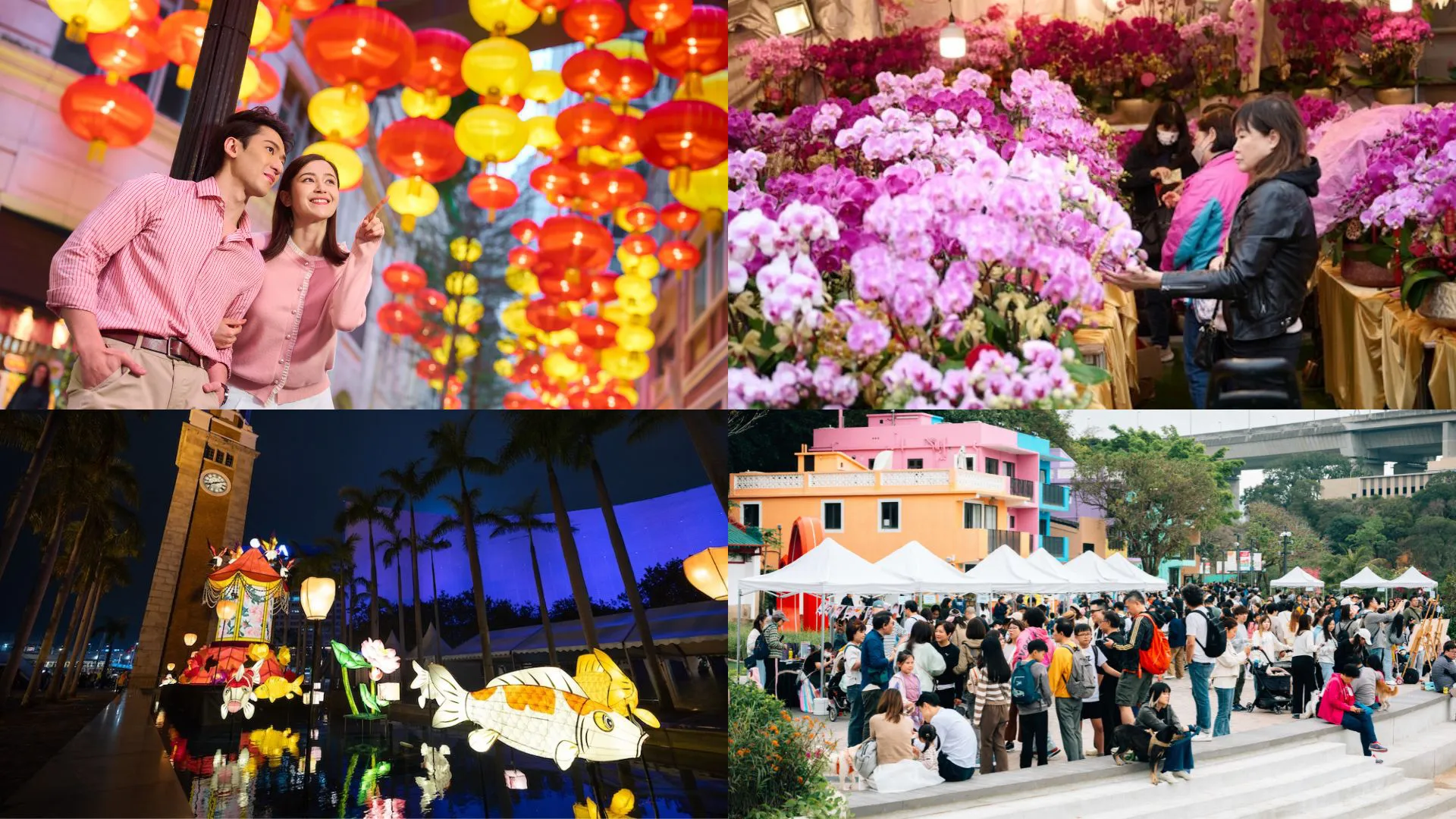 【玩樂】春節活動遍布香江 打卡盛景喜迎馬年