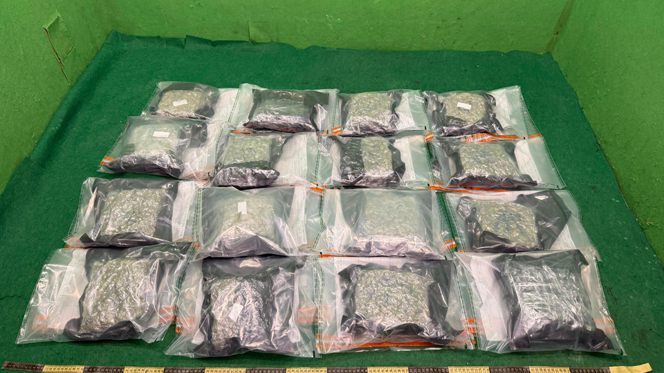 海關機場檢值190萬元大麻花 拘捕2名19歲男女