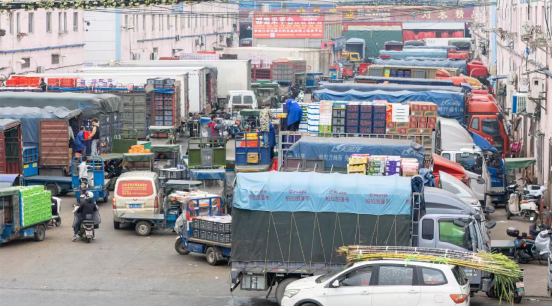 深農集團「全國一張網」聯動機制護全國22個城市菜籃子穩定