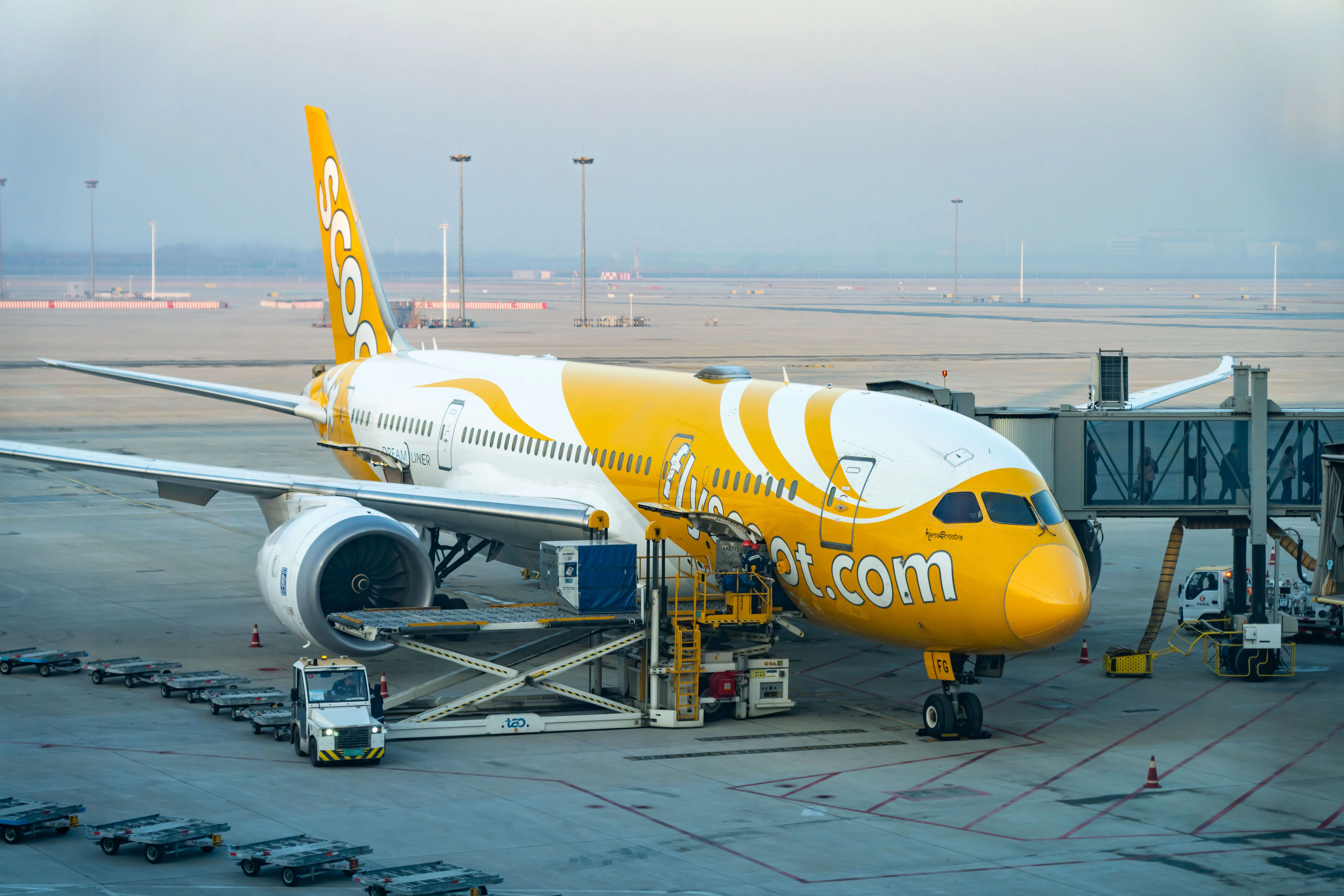 中國與新加坡互免兩周年 青島機場東南亞航線保持活躍