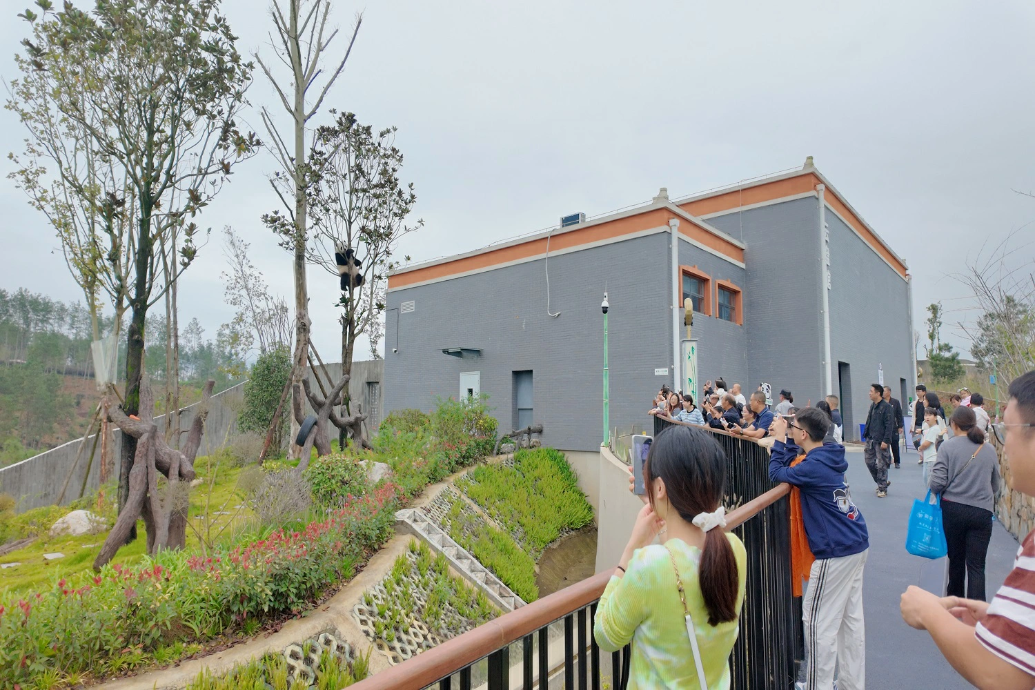 四川北川榮膺「中國文化百強縣」
