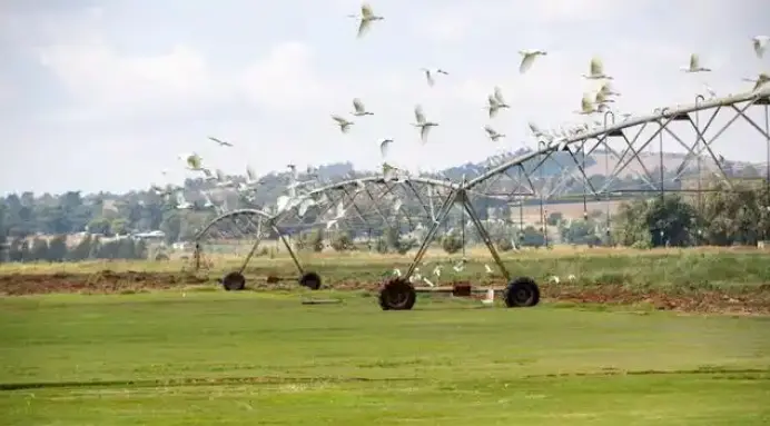 多舉措抵禦美關稅衝擊 南非農業出口創新高