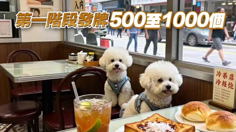 謝展寰：估計每名食客最多帶兩隻狗入食肆 太細餐廳或不獲牌