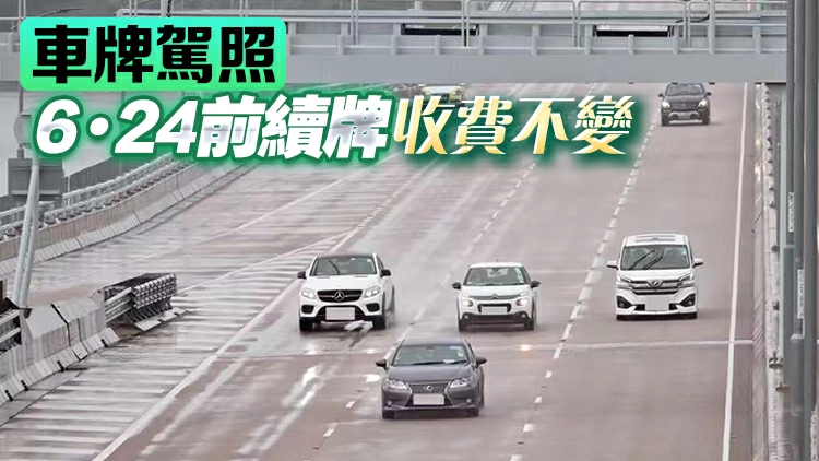 運輸署：財政預算案發表前將實施特別續領牌照安排