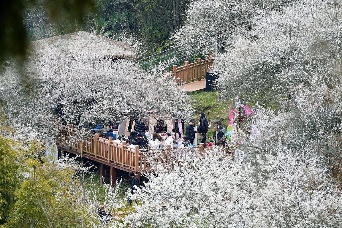 四川平武推出30餘項春節系列活動  感受到最具溫度的年味