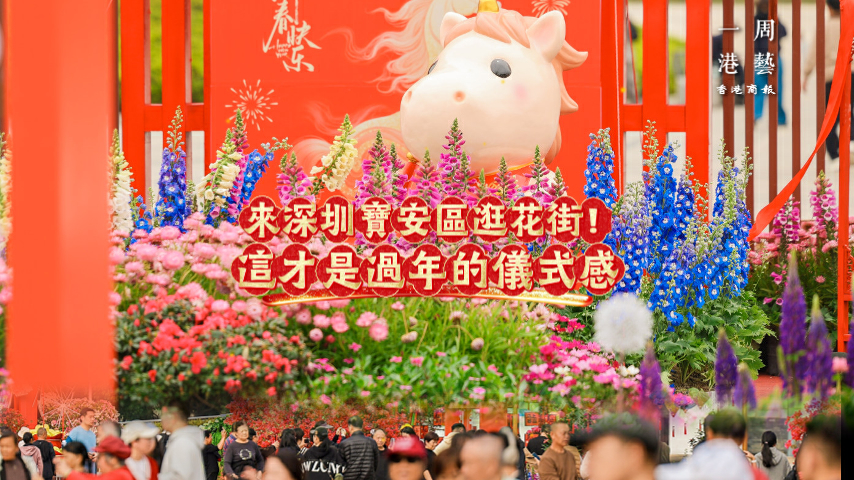 有片丨來深圳寶安區逛花街！這才是過年的儀式感