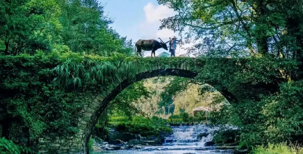 陳獻春：「小而美」文旅業態發展「婺源模式」的場景美學透視