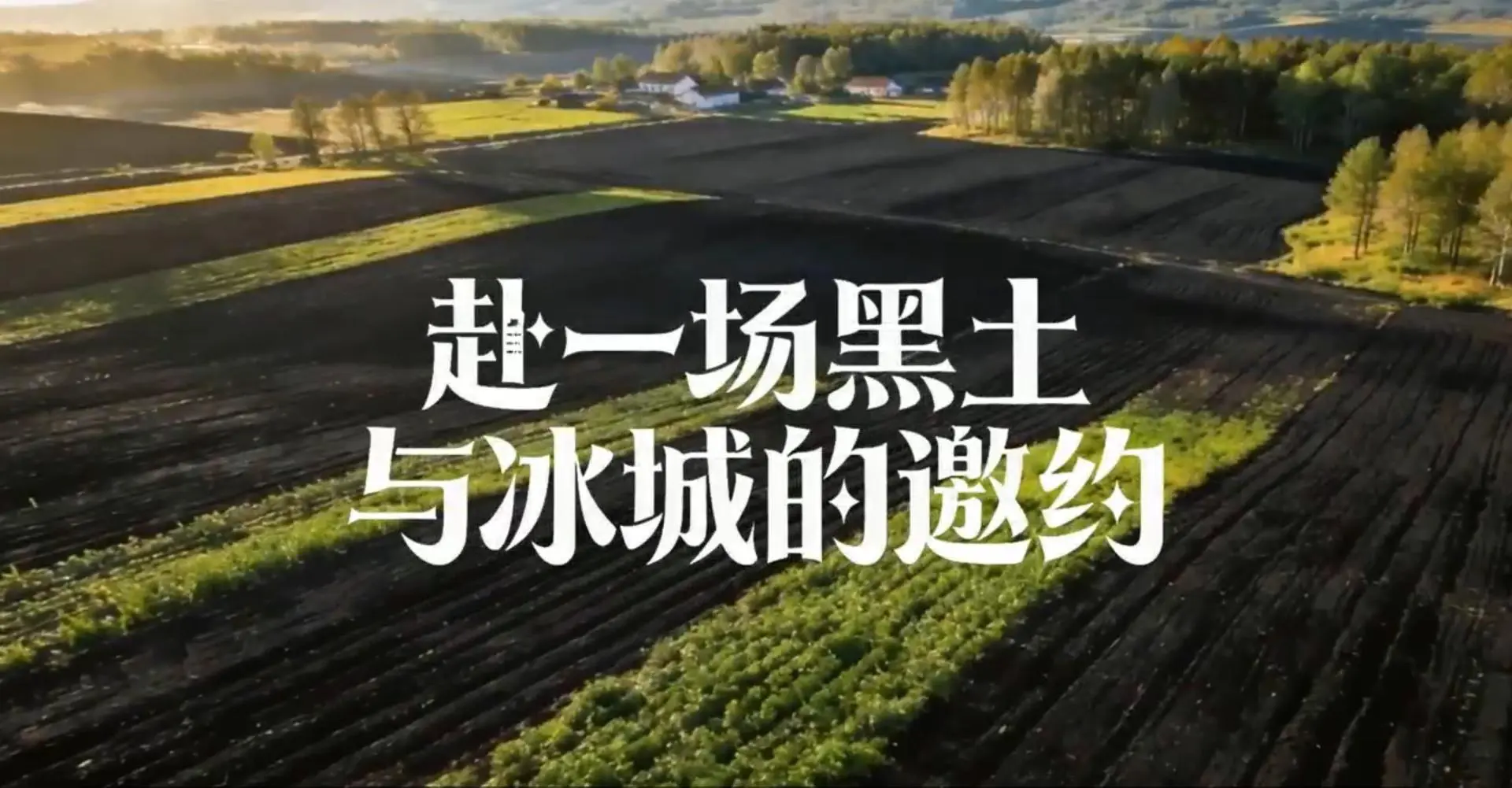 有片｜赴一場黑土與冰城的邀約