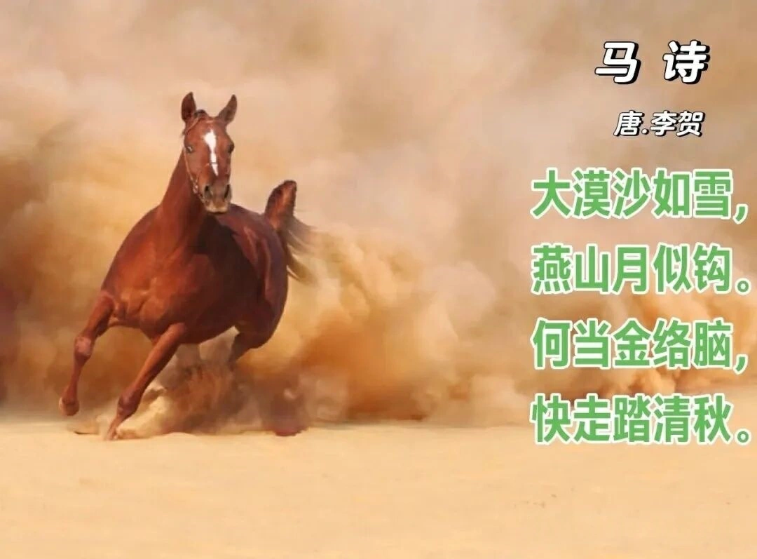 【樹成·心耕錄】詩卷長留馬蹄聲