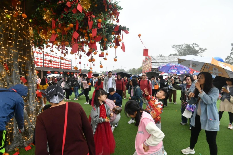 大埔林村年初一人頭湧湧  市民拋寶牒祈求馬年事事如意