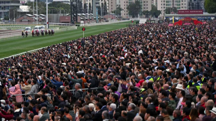 初三賀歲馬抽獎贏足金擺件 陳慧琳郭富城雙星報喜