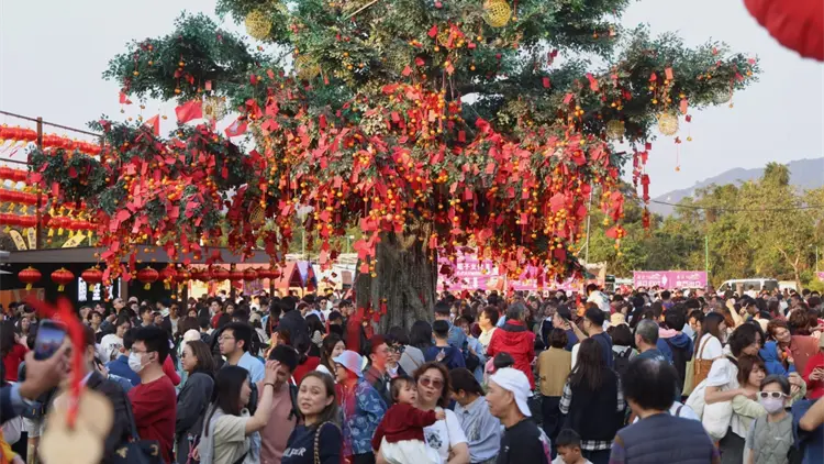 圖集｜林村許願樹新春人氣旺