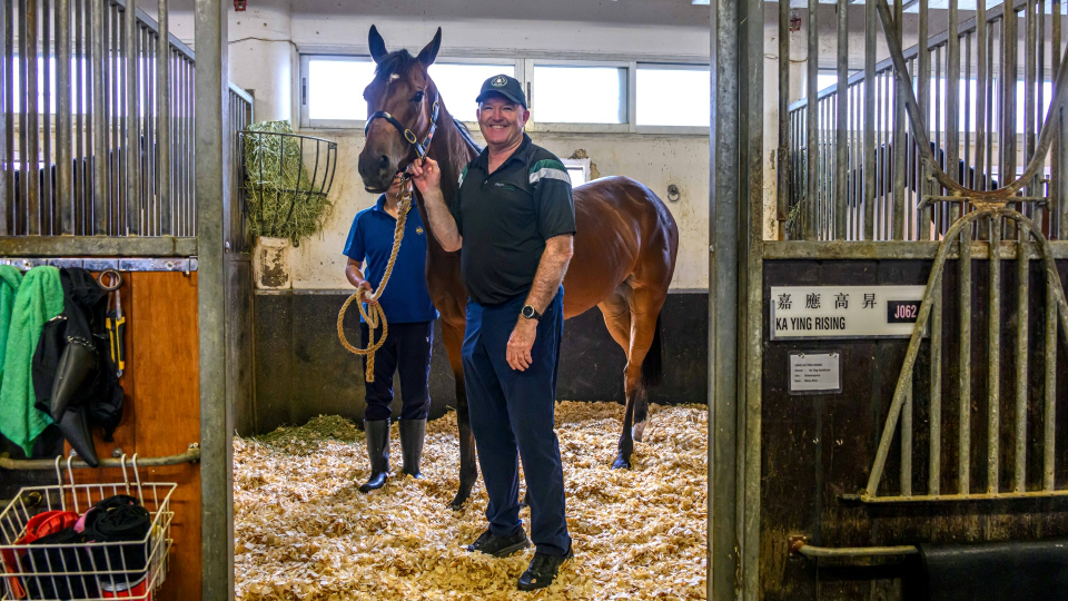應屆香港馬王「嘉應高昇」年初六力爭18連勝紀錄