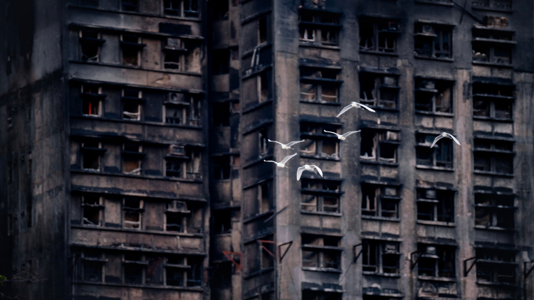 宏福苑大火｜測量師學會：可考慮市價加恩恤補貼收購業權