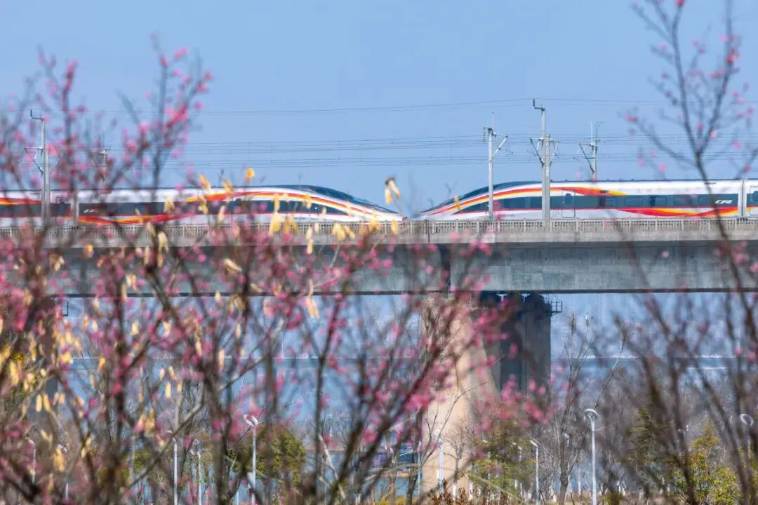 鐵路12306已累計發售春運火車票超3.1億張 這些方向余票充足→