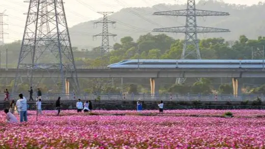 春運過半 廣東跨區域人員流動量累計達5.86億人次