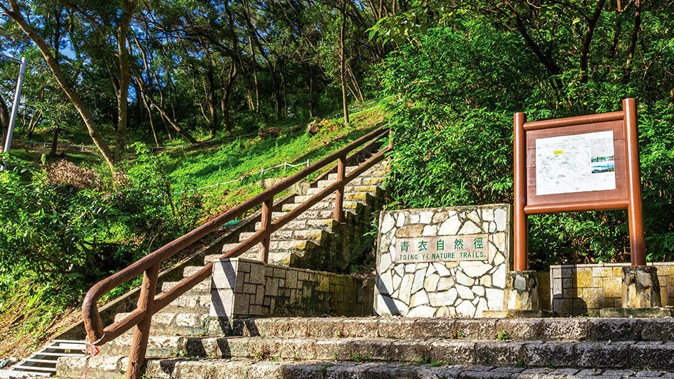 基孔肯雅熱傳播鏈已切斷 青衣自然徑傍晚起重開