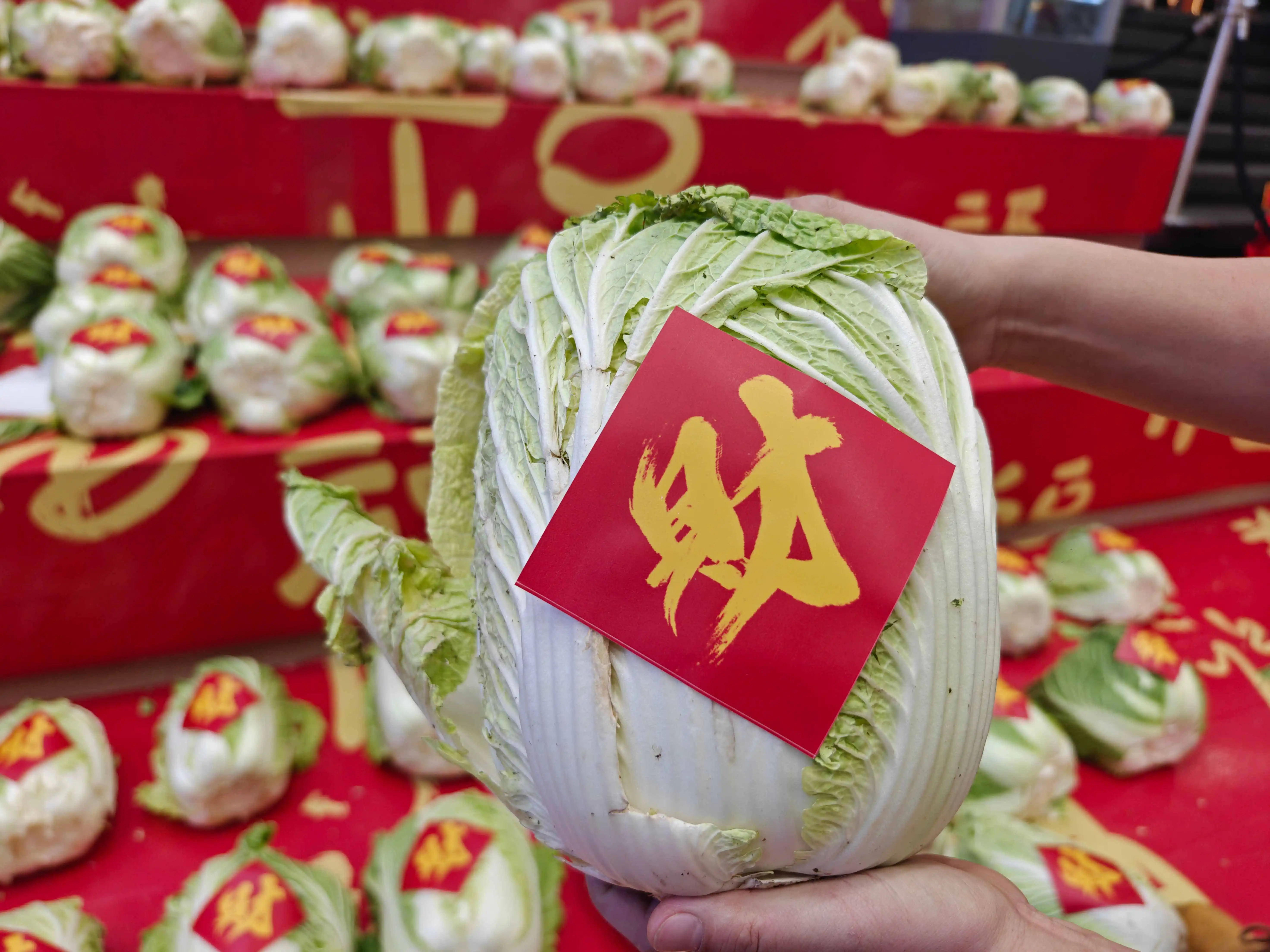 有片| 哈爾濱哈東萬達廣場空降五路財神 3000斤「福氣白菜」送市民