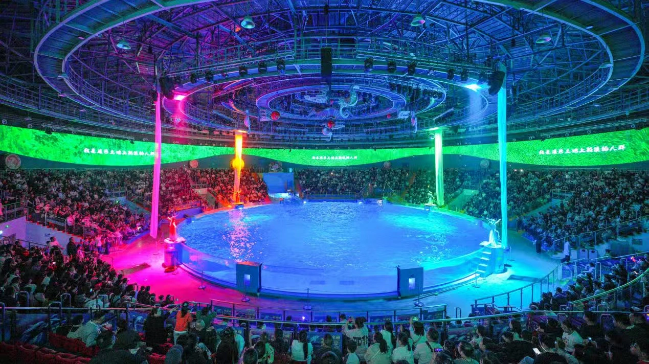 鄭州海昌非遺國潮續寫精彩 三月寵妮浪漫接檔