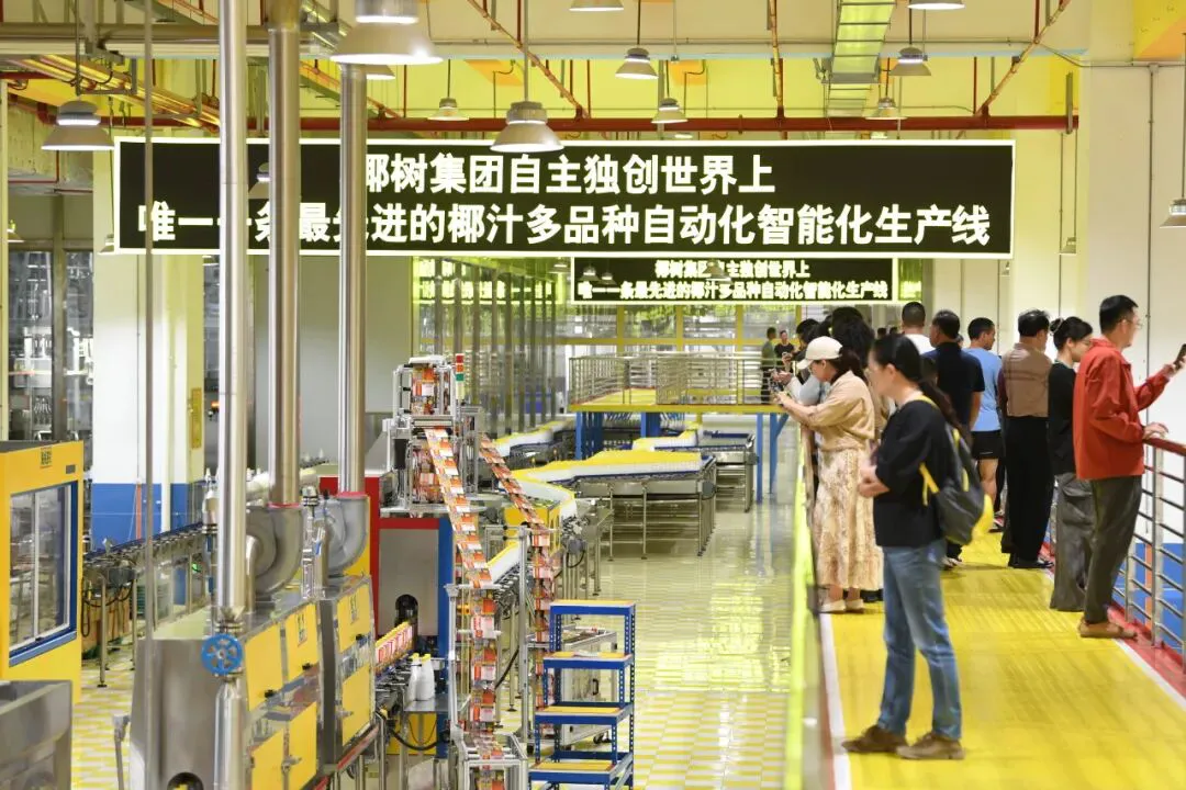 海口國家高新區椰樹工廠春節期間免費開放吸引眾多市民遊客