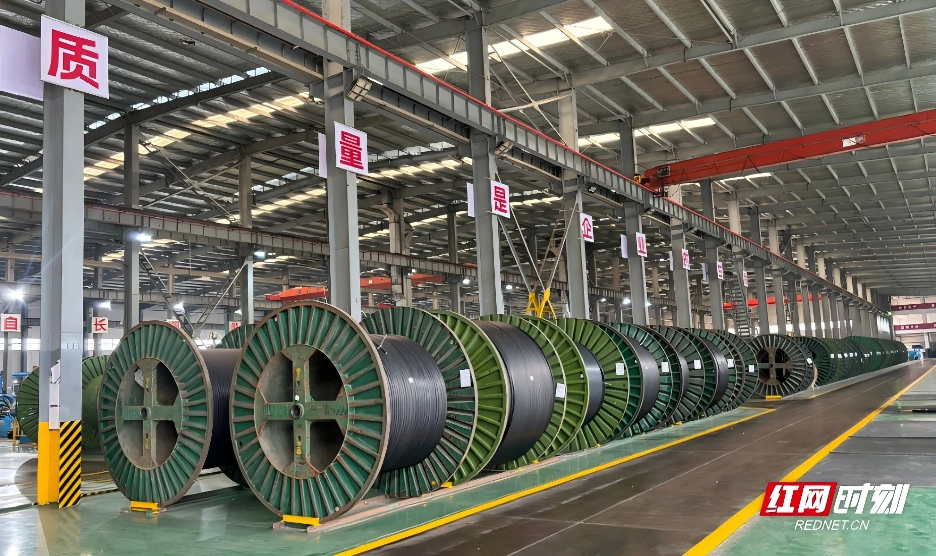 訂單飽滿外貿強!望城經開區企業復工復產搶春謀新局