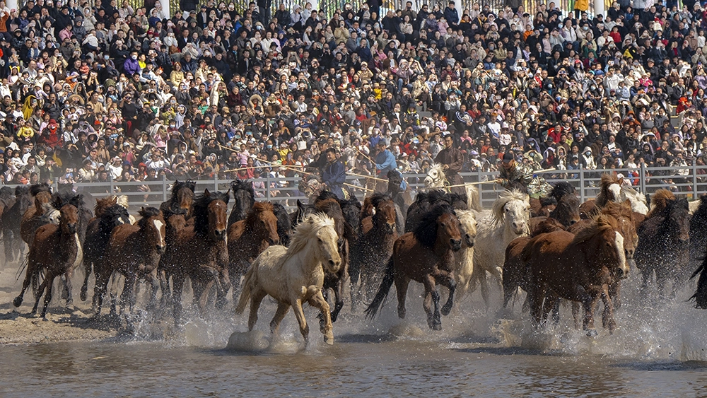 江蘇崇川搶攻短途遊市場 掀馬年長三角家庭出遊熱
