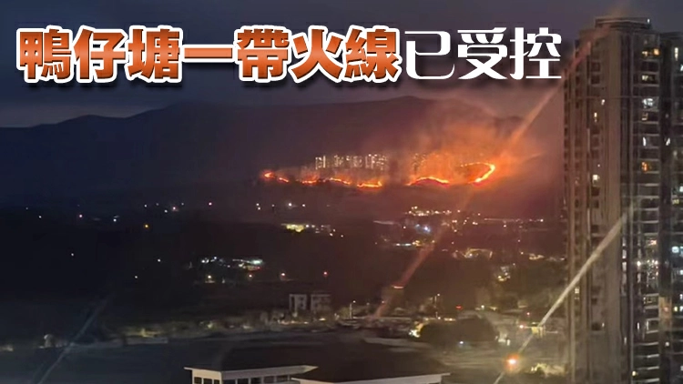 粉嶺坪輋一帶發生山火 火線長約100米 香圍園口岸仍可見