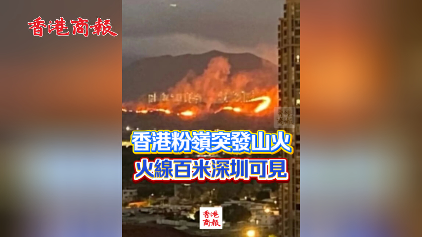 有片丨香港粉嶺突發山火 火線百米深圳可見