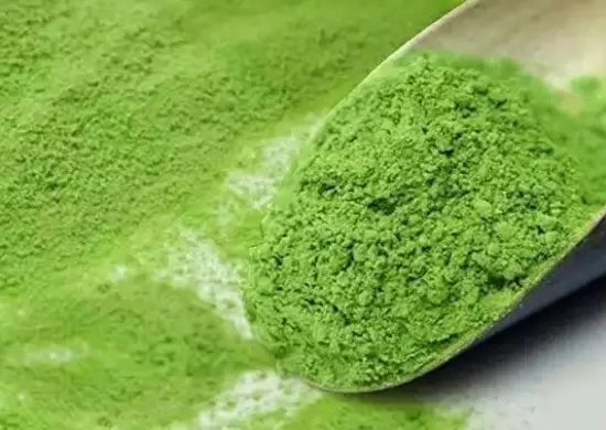 法國研究顯示巴黎綠化降低高溫相關死亡風險 