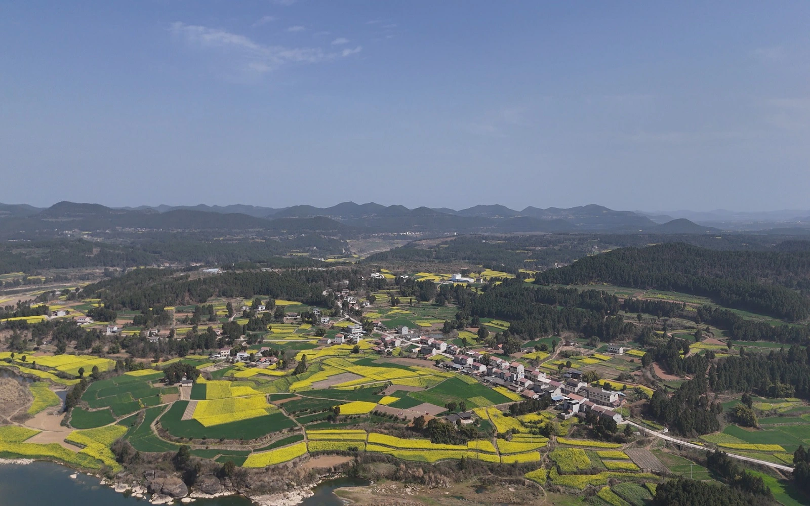 科技＋農技 四川梓潼確保全縣28萬畝油菜穩產增收