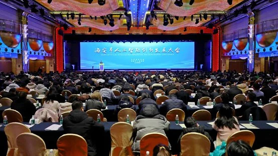 江蘇海安擘畫AI賦能縣域經濟高質量發展新路徑